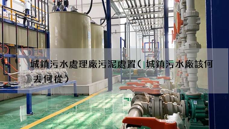 城鎮污水處理廠污泥處置(城鎮污水廠該何去何從)